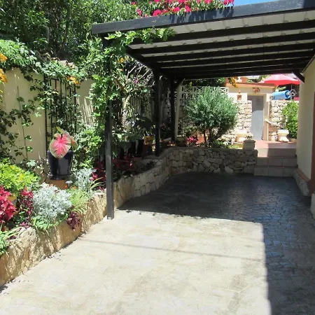 Mimosa Moraira