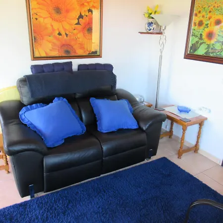 Mimosa * Морайра