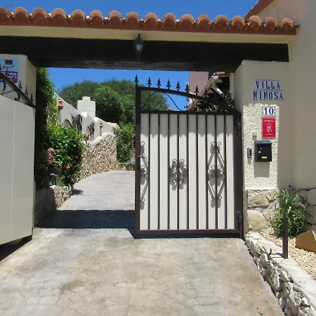 Mimosa * Морайра