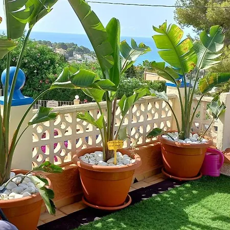 Апартаменты Mimosa