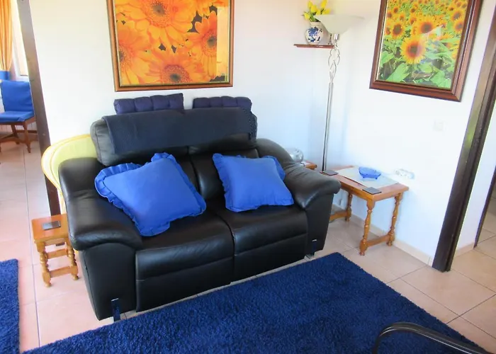 Mimosa * Морайра