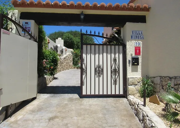 Mimosa * Морайра