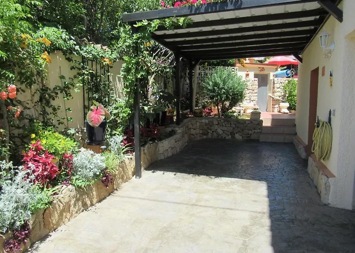 Mimosa Морайра